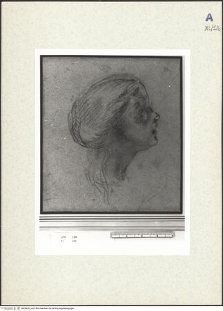 Vorderseite von bh438656_recto