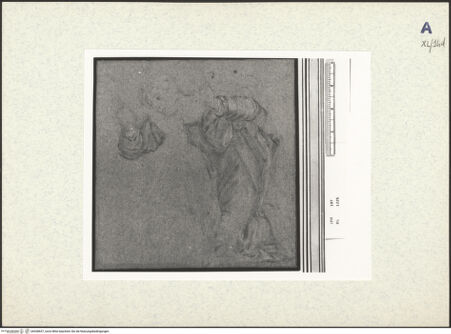 Vorderseite von bh438657_recto