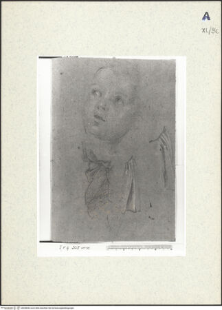 Vorderseite von bh438658_recto