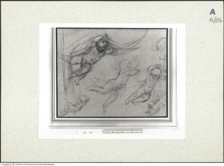 Vorderseite von bh438659_recto