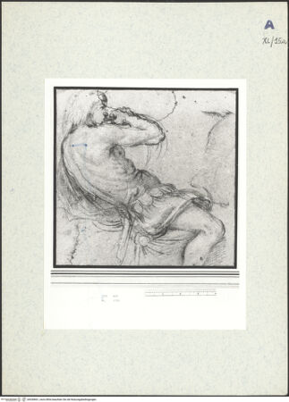 Vorderseite von bh438661_recto