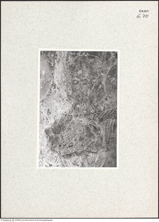 Vorderseite von Pace, Valentino [https://www.deutsche-digitale-bibliothek.de/content/lizenzen/rv-ez/] Christi Himmelfahrt - Unteres Register, Detail, Apostel 5 (links), bh438687_recto. Foto: Pace, Valentino.