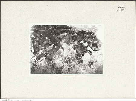 Vorderseite von Pace, Valentino [https://www.deutsche-digitale-bibliothek.de/content/lizenzen/rv-ez/] Christi Himmelfahrt - Oberes Register, Detail, bh438704_recto. Foto: Pace, Valentino.