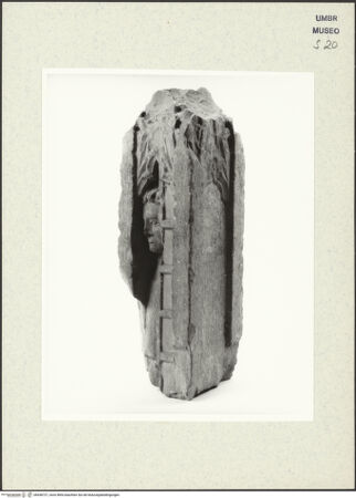 Vorderseite von bh438727_recto