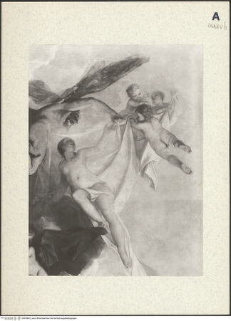 Vorderseite von bh438842_recto