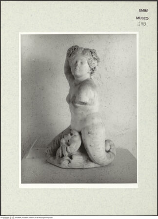 Vorderseite von bh438849_recto