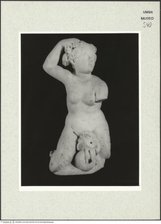 Vorderseite von bh438850_recto