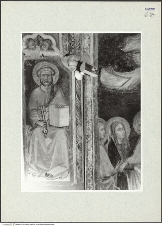 Vorderseite von Museum [https://www.deutsche-digitale-bibliothek.de/content/lizenzen/rv-ez/] Szenen der Passionsgeschichte, Heilige und ProphetenHeiliger Petrus - Gesamtansicht, bh438929_recto. Foto.