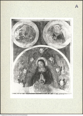 Vorderseite von bh438958_recto