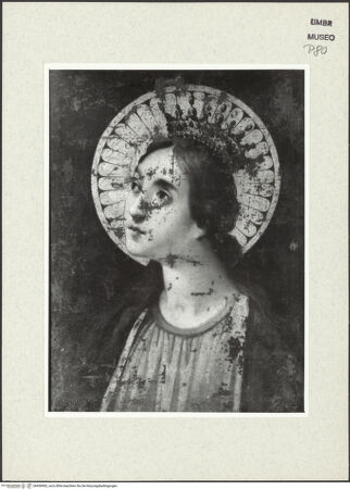 Vorderseite von bh438983_recto