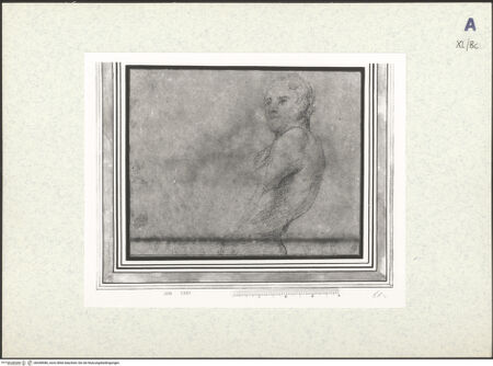 Vorderseite von bh438986_recto