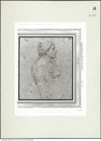 Vorderseite von bh438989_recto