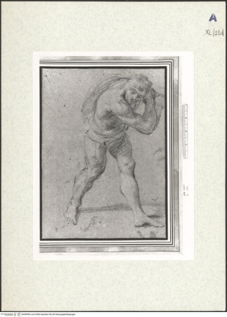 Vorderseite von bh438990_recto