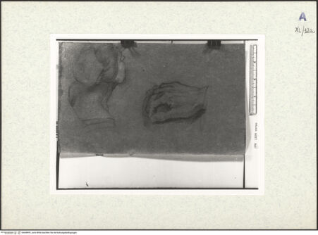 Vorderseite von bh438991_recto