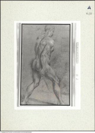 Vorderseite von bh439007_recto