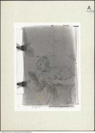 Vorderseite von bh439015_recto