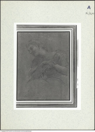 Vorderseite von bh439016_recto