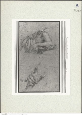 Vorderseite von bh439022_recto