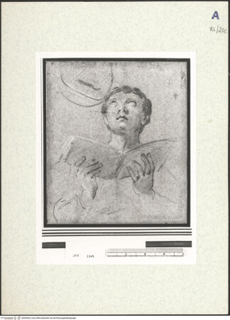 Vorderseite von bh439023_recto