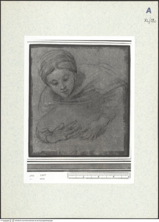 Vorderseite von bh439025_recto