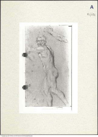 Vorderseite von bh439026_recto