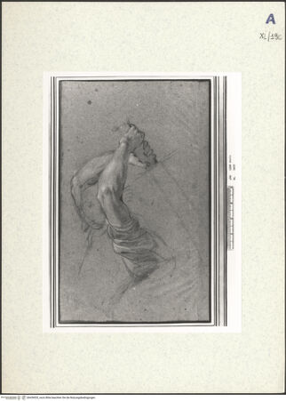 Vorderseite von bh439035_recto