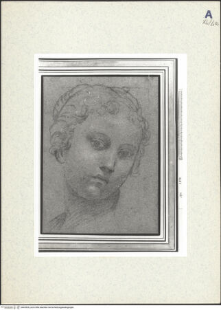 Vorderseite von bh439036_recto