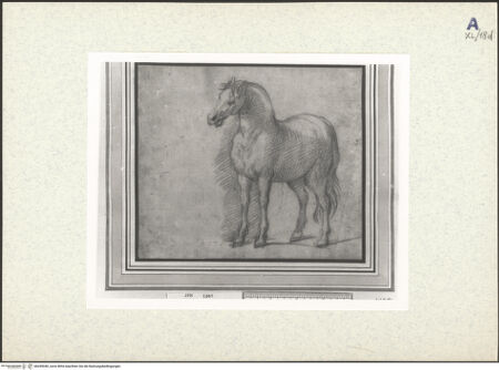 Vorderseite von bh439040_recto