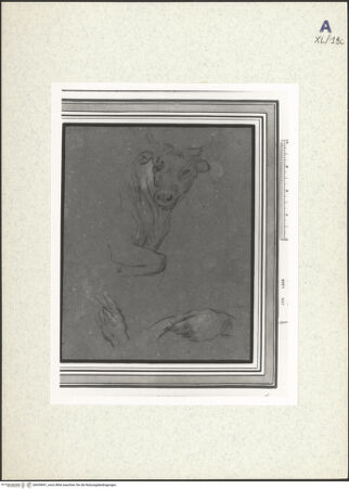 Vorderseite von bh439041_recto