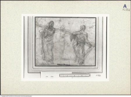 Vorderseite von bh439044_recto