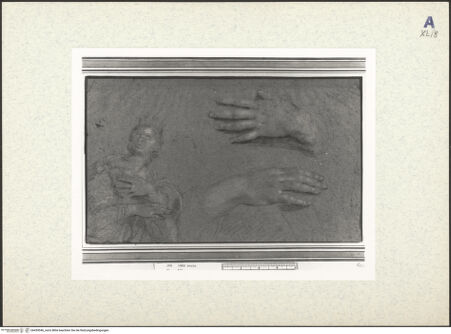 Vorderseite von bh439046_recto