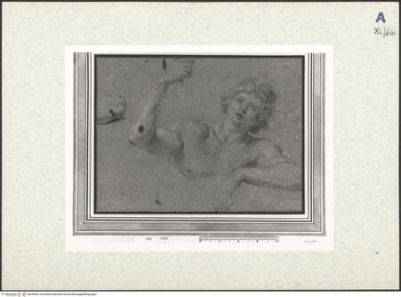 Vorderseite von bh439055_recto