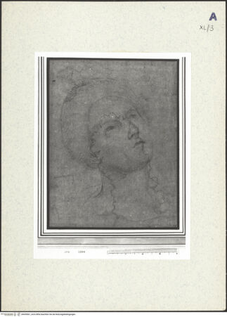 Vorderseite von bh439061_recto