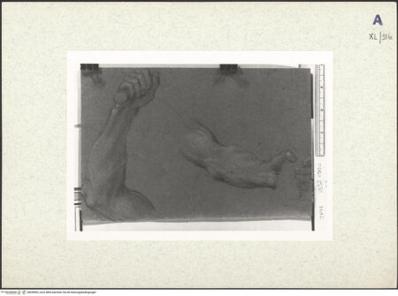 Vorderseite von bh439062_recto