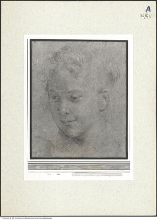 Vorderseite von bh439064_recto