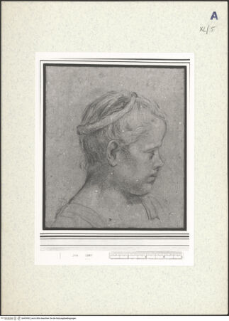 Vorderseite von bh439065_recto