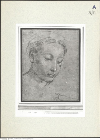 Vorderseite von bh439066_recto