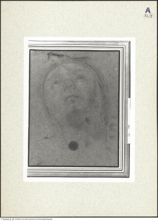 Vorderseite von bh439069_recto