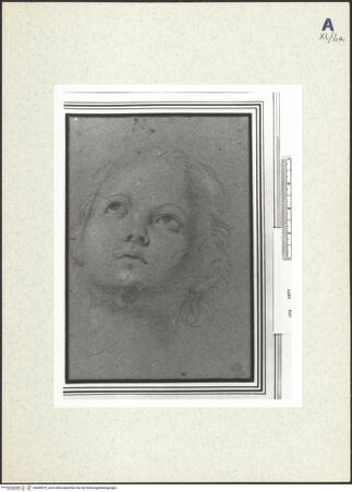 Vorderseite von bh439075_recto