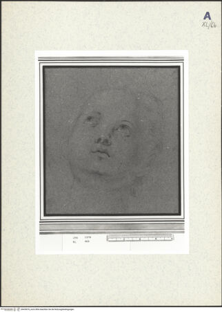 Vorderseite von bh439076_recto