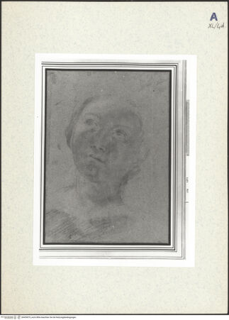 Vorderseite von bh439079_recto