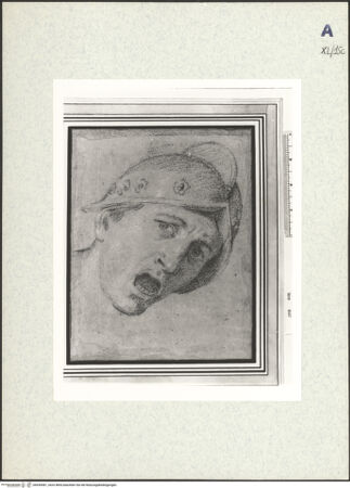 Vorderseite von bh439081_recto