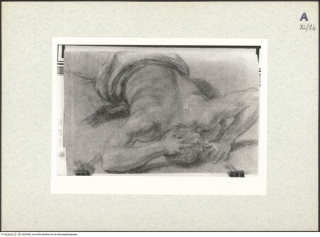 Vorderseite von bh439082_recto