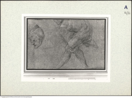 Vorderseite von bh439083_recto