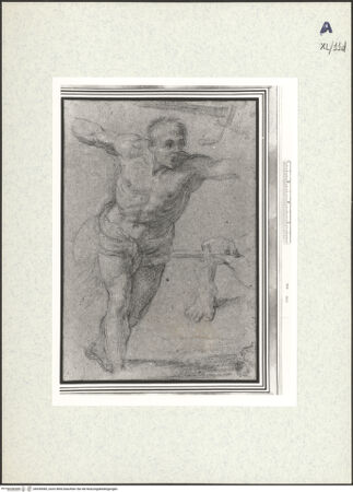 Vorderseite von bh439085_recto