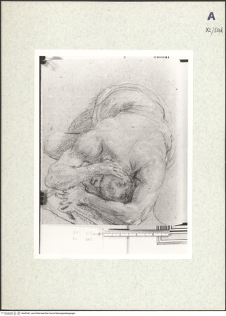 Vorderseite von bh439087_recto