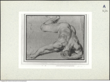 Vorderseite von bh439088_recto