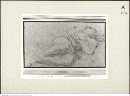 Vorderseite von bh439093_recto