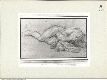 Vorderseite von bh439094_recto