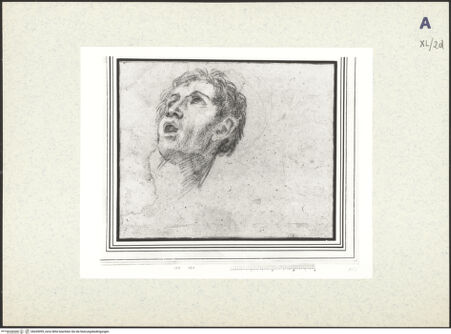 Vorderseite von bh439095_recto